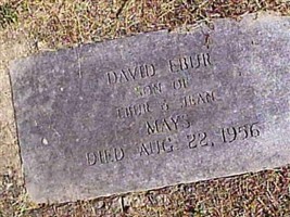 David Ebur Mays
