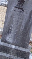 David Edward Wilson