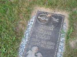 David Elias Cole