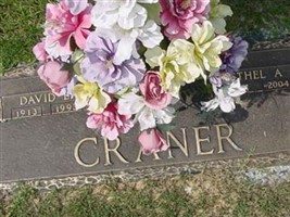 David Ellis Craner