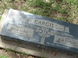 David Elmer Cargill David Elmer Cargill