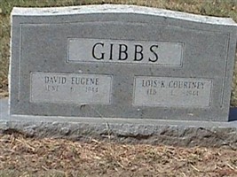 David Eugene Gibbs David Eugene Gibbs