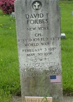 David F Forbes David F Forbes