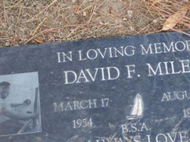 David F Miles David F Miles