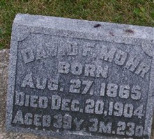 David F Mohr