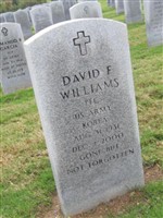 David F Williams David F Williams