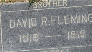 David Fleming David Fleming
