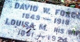 David Force