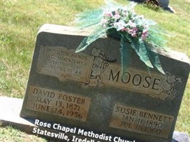 David Foster Moose David Foster Moose