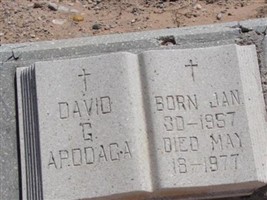 David G Apodaca David G Apodaca