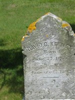 David G Kenney