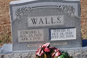 David G Walls