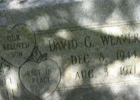 David G Weaver David G Weaver