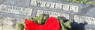 David G. Wolfe David G. Wolfe