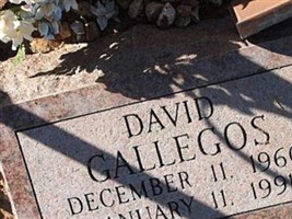 David Gallegos David Gallegos