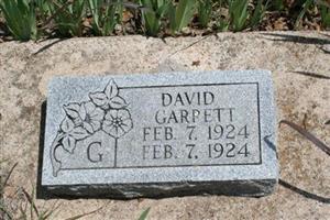 David Garrett (2064790.jpg)