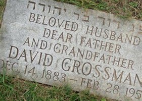 David Grossman David Grossman