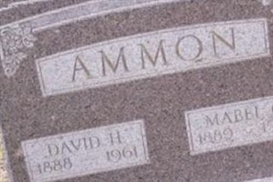 David H. Ammon