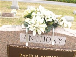 David H Anthony David H Anthony