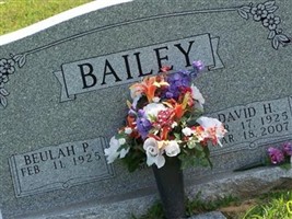 David H. Bailey David H. Bailey