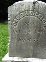 David H. Bigelow David H. Bigelow