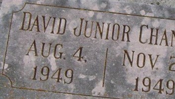 David H Chaney David H Chaney