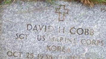 David H Cobb David H Cobb