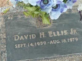 David H Ellis, Jr David H Ellis, Jr