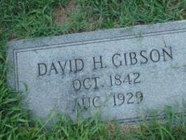 David H. Gibson