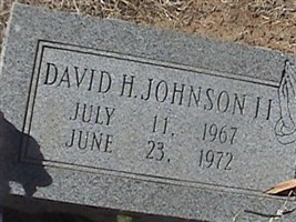 David H Johnson, II