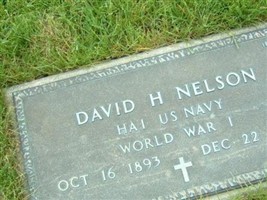 David H Nelson David H Nelson
