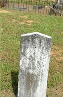 David H. Potts David H. Potts