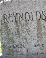 David H Reynolds David H Reynolds