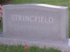 David H. Stringfield David H. Stringfield