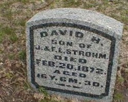 David H Strohm David H Strohm