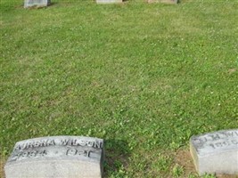David H. Wilson