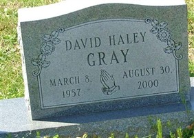 David Haley Gray