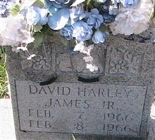 David Harley James, Jr