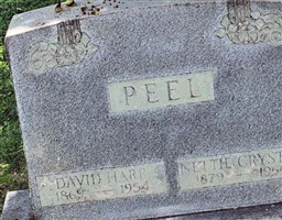 David Harp Peel