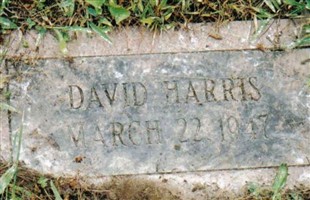 David Harris David Harris