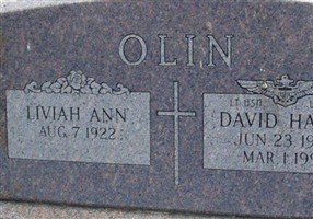 David Harry Olin