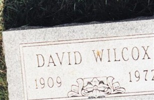 David Harry Wilcox David Harry Wilcox