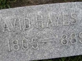 David Hayes, Jr