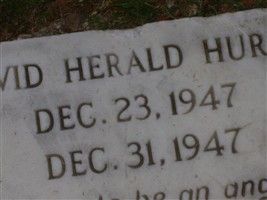 David Herald Hurst