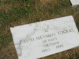 David Herman Toolas