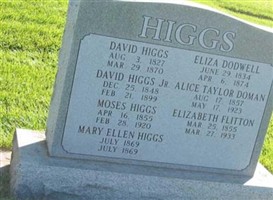David Higgs