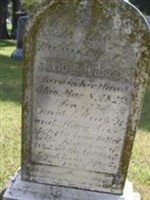 David Holbrook