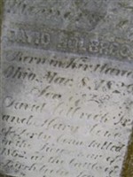 David Holbrook