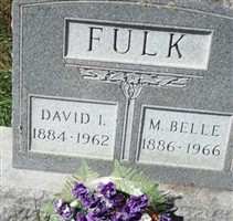 David I Fulk