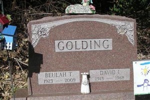 David I. Golding